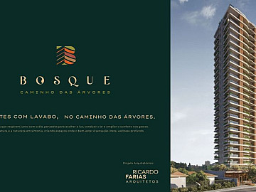BOSQUE � Caminho das �rvores